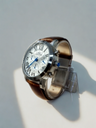 Leather Ibso Chronograph -Brown